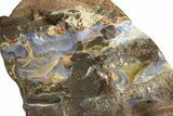 Boulder Opal Specimen - Queensland, Australia #227094-1